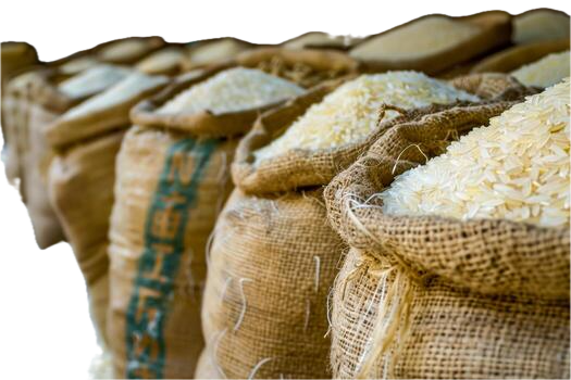 Rice