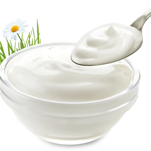 1 KG yogurt