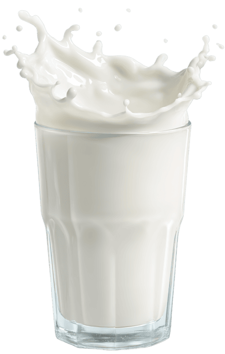 1 litter milk