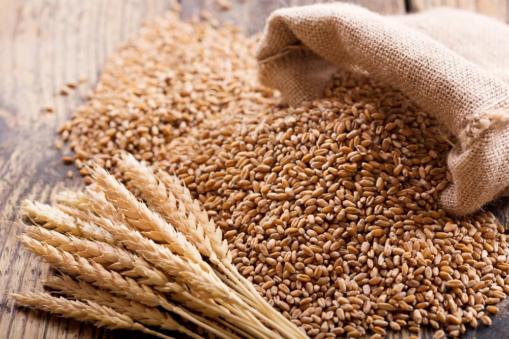 RF Whole Wheat 400gm